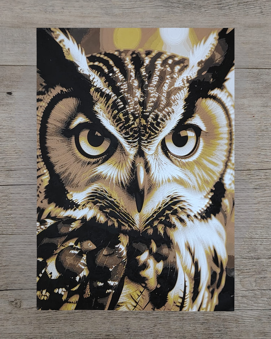 Quadro 3D Gufo Marrone - Stampa HueForge