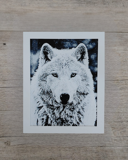 Quadro 3D Lupo Artico - Stampa HueForge